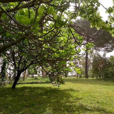 Appartamento Palmyra Beachfront *