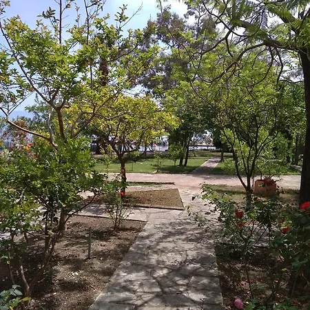 Palmyra Beachfront * Nydri (Lefkada)