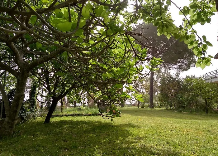דירה Palmyra Beachfront *