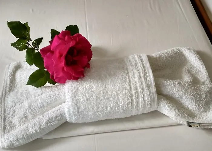 Palmyra Beachfront דירה