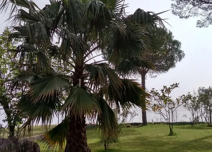 דירה Palmyra Beachfront נידרי