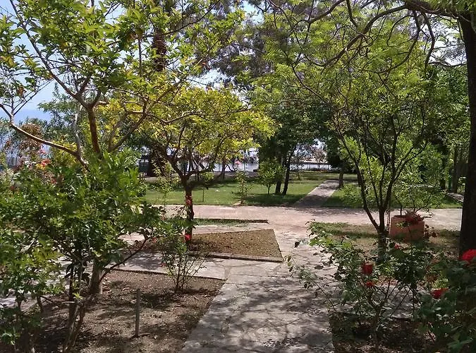 Palmyra Beachfront * נידרי